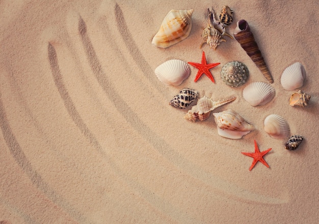 Fondo de verano con arena de mar y conchas.