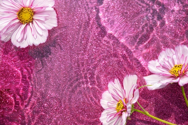 Fondo de verano creativo brillante Flores naturales y agua de onda sobre fondo magenta brillante Vista superior Endecha plana