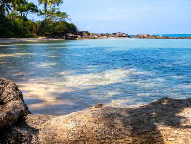 Fondo de verano de escena de playa Tronco de árbol grande de primer plano en la costa de la playa de arena con árboles tropicales en la colina de roca agua de mar y cielo azul en un día soleado Vista de la bahía de paisaje marino brillante