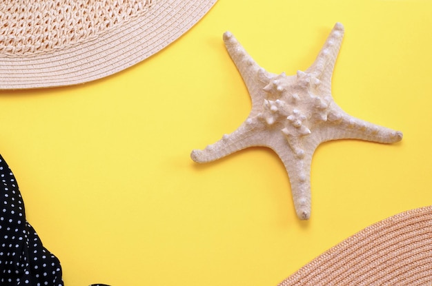 Fondo de verano con estrellas de mar en colores pastel