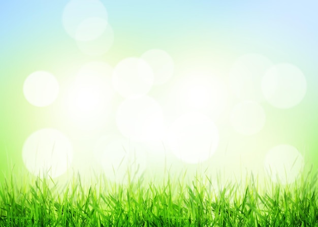 Fondo de verano con hierba y bokeh soleado