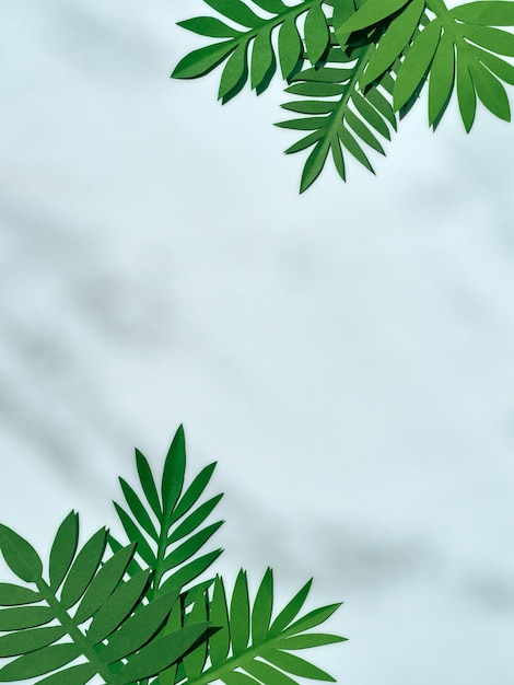 Foto fondo de verano con hojas tropicales de papel verde.