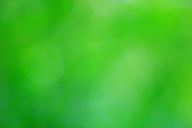 Fondo verde abstracto del bokeh del verano, resplandor de la textura del arte de la vista del gradiente