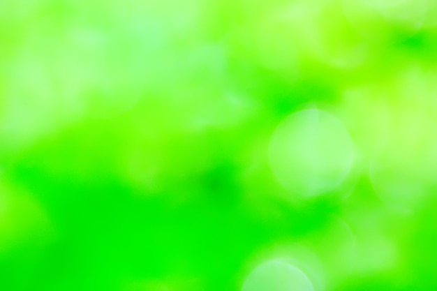 Fondo verde abstracto del bokeh del verano, resplandor de la textura del arte de la vista del gradiente