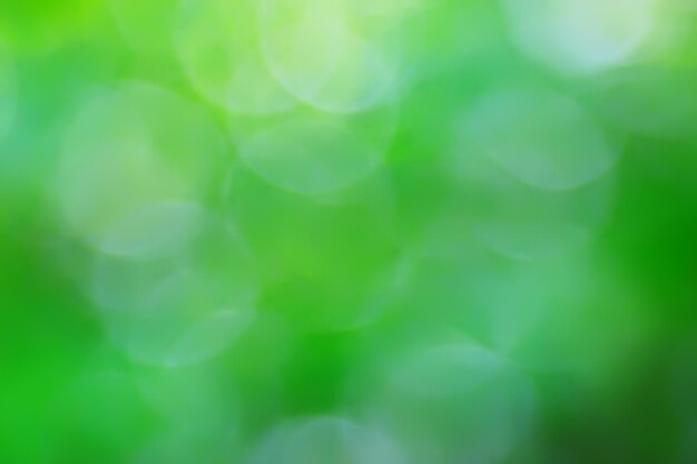 Fondo verde abstracto del bokeh del verano, resplandor de la textura del arte de la vista del gradiente