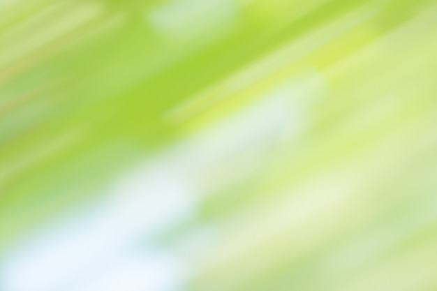 Fondo verde del bokeh. Árbol verde bokeh y fondo de brillo soleado