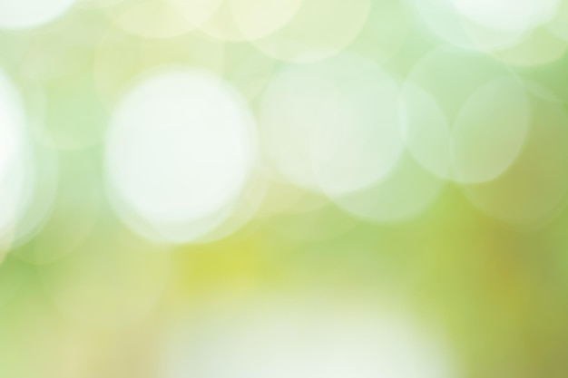 Un fondo verde con un bokeh y la palabra bokeh