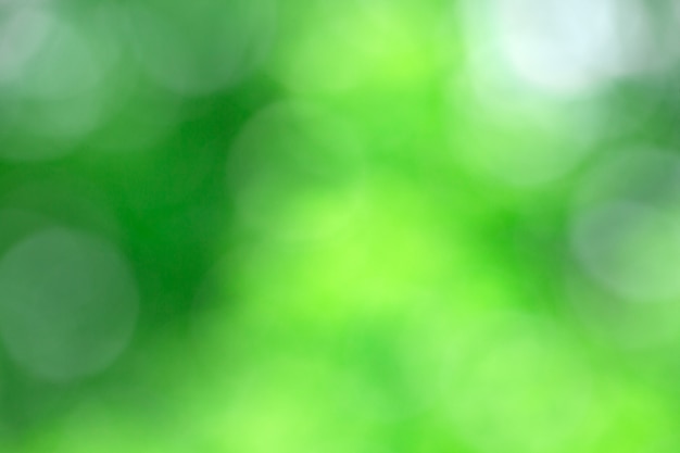 Fondo verde bokeh