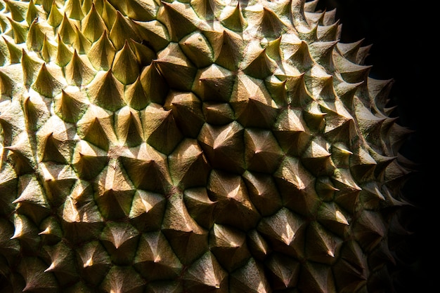 Fondo verde durian