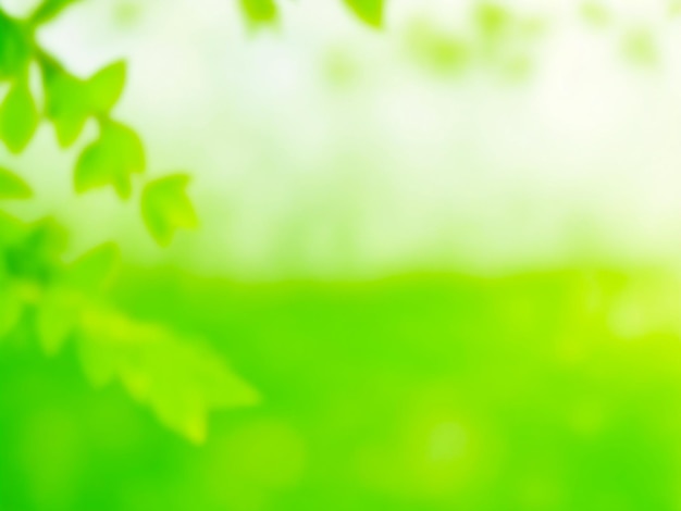Fondo verde natural borroso