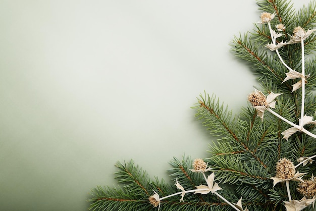 Fondo verde navideño de pino y elementos de plantas secas en papel de color oliva