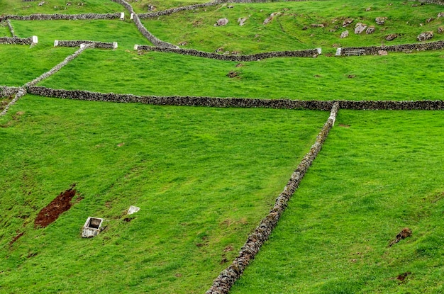 fondo verde. Paisaje de Azores