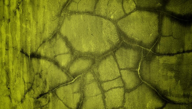Un fondo verde con un patrón de tortuga.