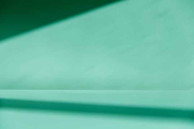 Fondo verde para la presentación del producto con sombra y luz de las ventanas.