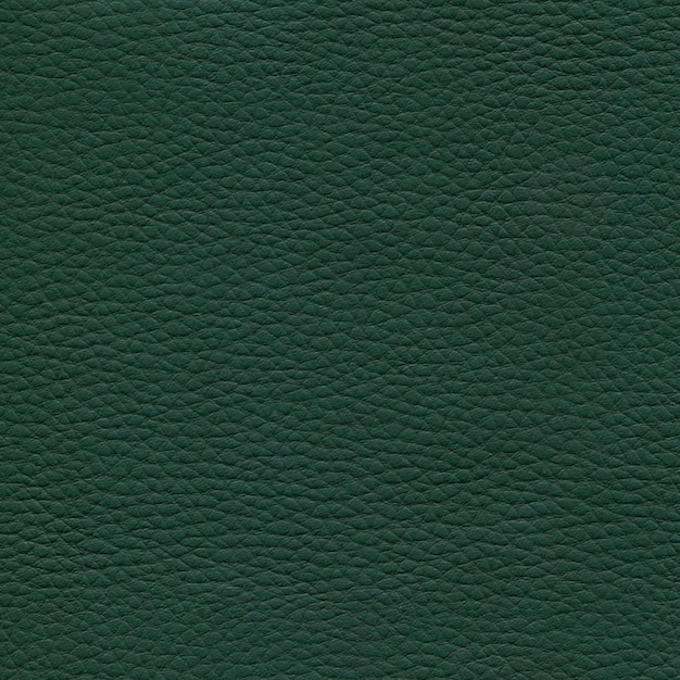 fondo verde