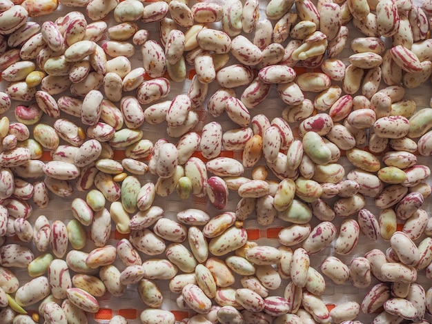 Fondo de verduras frijoles carmesí