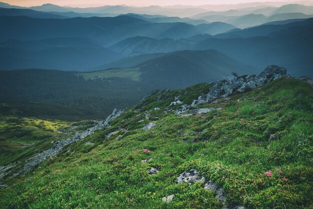 Fondo de viaje natural de paisaje de puesta de sol de verano de montañas de los Cárpatos