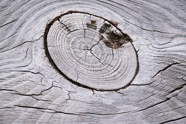 Fondo de viejas tablas de madera