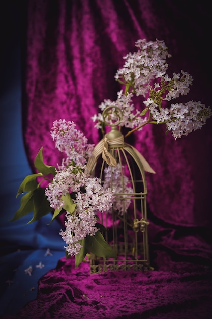 Fondo vintage de cortina de terciopelo púrpura oscuro con flores lilas y ramas en una jaula de pájaros de oro