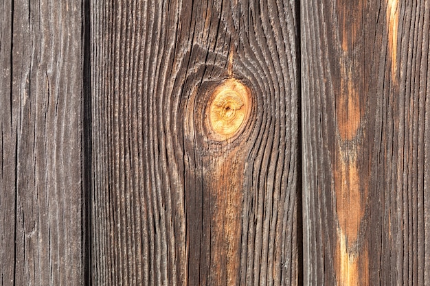 Fondo vintage de tablón de árbol de pared de madera de madera