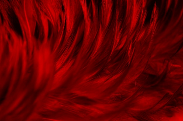 Fondo vintage de textura de patrón de plumas oscuras rojas