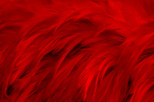 Fondo vintage de textura de patrón de plumas rojo oscuro