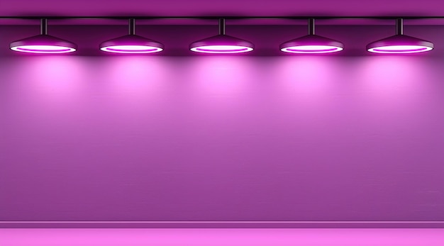 fondo