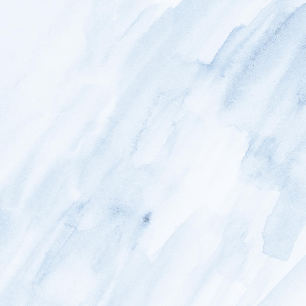 fondo