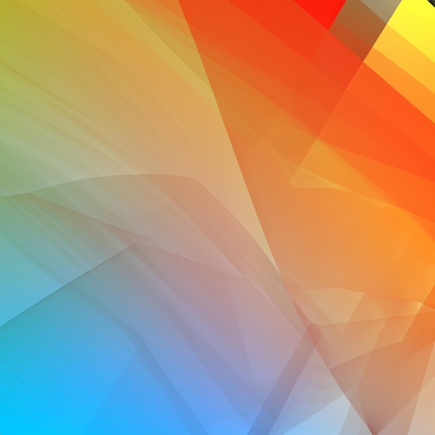 fondo