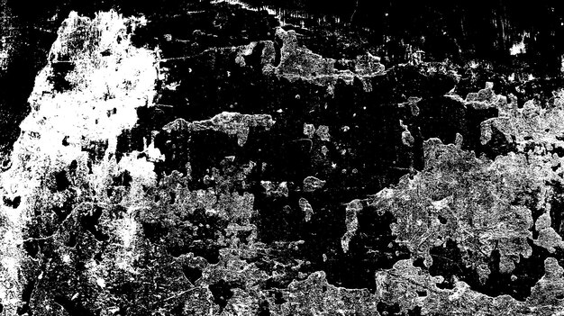 Fondos abstractos Textura monocromática La imagen incluye un efecto de tonos blancos y negros.