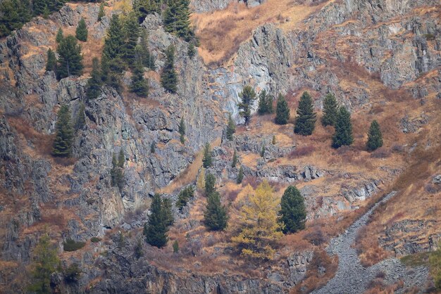 fondos de pantalla otoño paisaje montaña altai, libertad viaje romántico