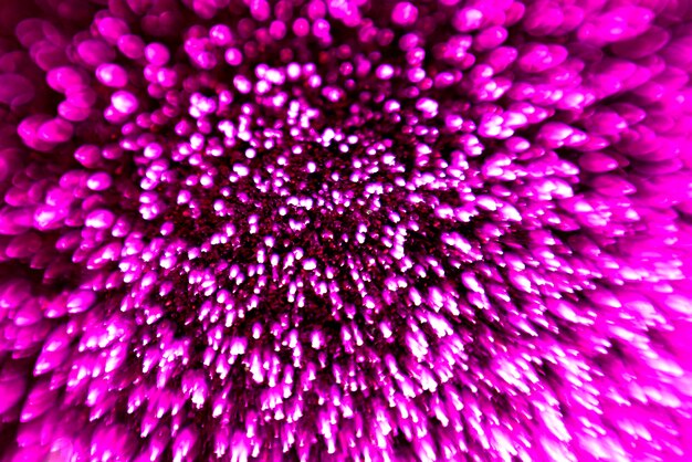 Fondos de vacaciones de color bokeh fondo borroso brillante bokeh fondo brillante fondo bokeh plata bokeh
