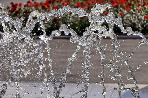 Fonte closeup de flores de gotículas de água no fundo