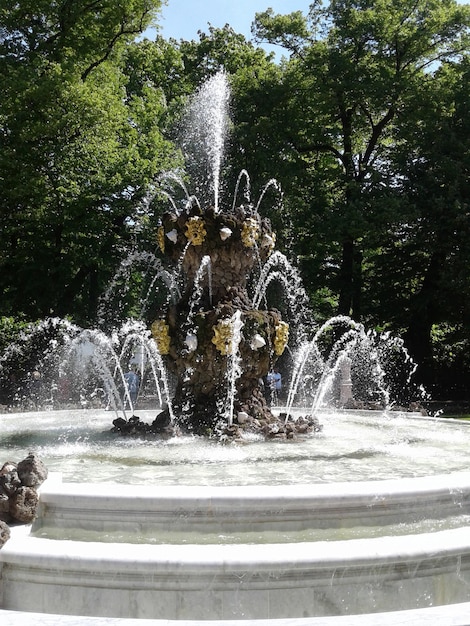 Foto fonte da coroa no jardim de verão em são petersburgo jatos de água se erguem