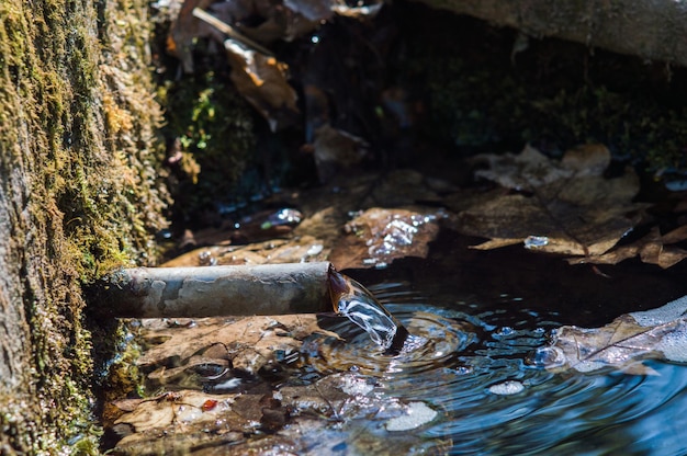 Fonte de água A água flui para fora do tubo Laje de concreto de musgo