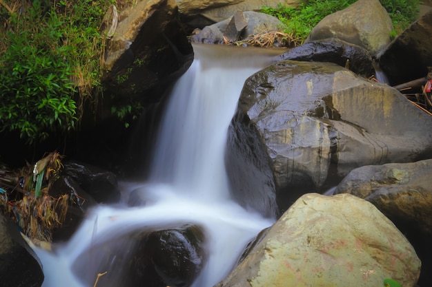 Fonte de água da vida