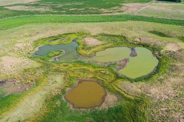 Fonte de água doce na paisagem das Pampas, Argentina