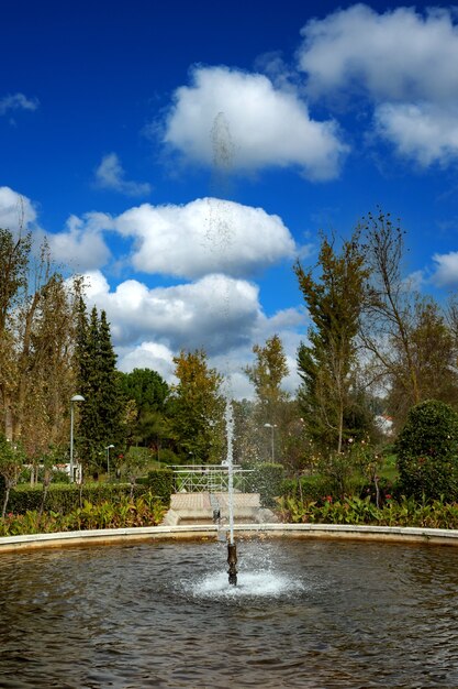 Fonte fofa em um parque no outono