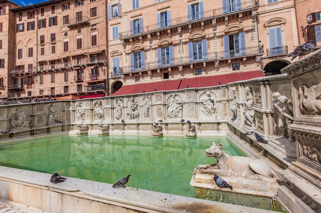 Fonte gaia na piazza del campo em siena