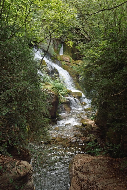 Fonte (les fonts del LLobregat) em Castellar de N abraço