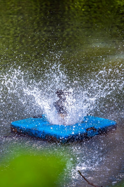 Fonte na lagoa uma fonte flutuante em uma lagoa espirra em diferentes direções atrás de w