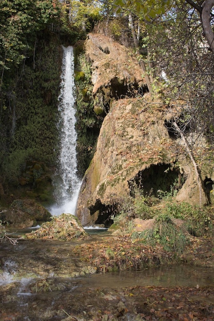 Fonte natural de água