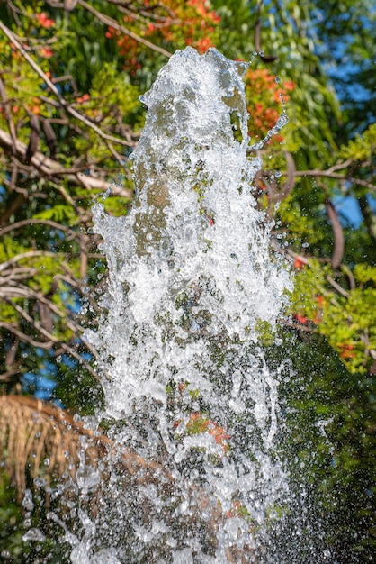 Foto fonte, respingo de água de uma fonte de luz solar, foco seletivo.