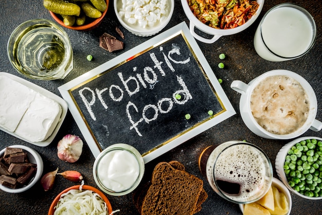 Fontes de alimentos fermentados probióticos super saudáveis
