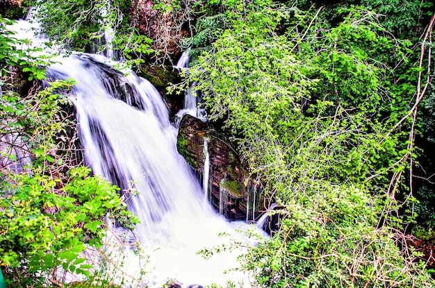 Fontes do nascimento do rio Llobregat em Castellar de N'hug, Barcelona, Espanha.