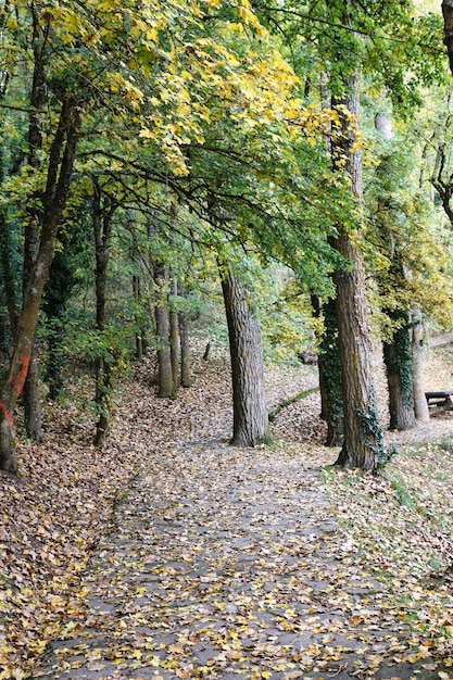 Fontibre es una localidad del municipio de Hermandad de Campoo de Suso Cantabria España