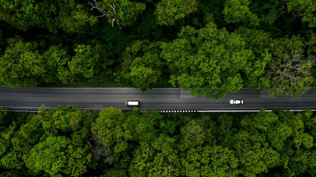 Forest Road, vista aérea sobre bosque de árboles tropicales con una carretera que pasa con el coche.