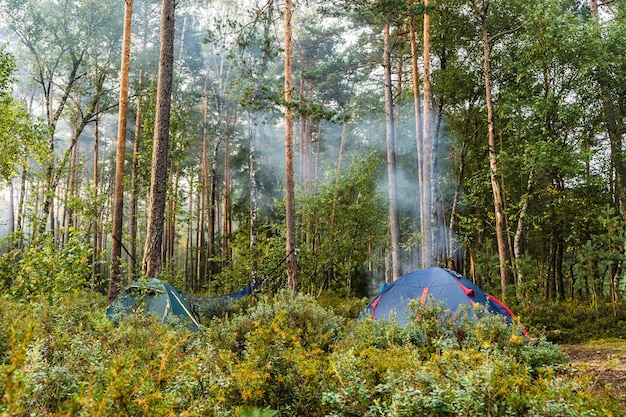 Forest tourist camp com barracas e fogueira. acampamento, conceito de atividades ao ar livre