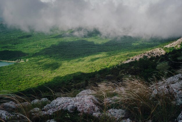 Forjar en las laderas de las montañas de verano