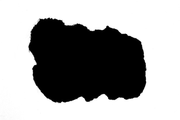 Una forma abstracta negra contra un fondo blanco